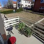 Bor *