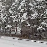 Bor * Livno