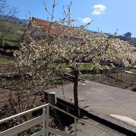 Bor S Velikom Terasom Idealan Za Boravak S Obitelji Lejlighed Livno