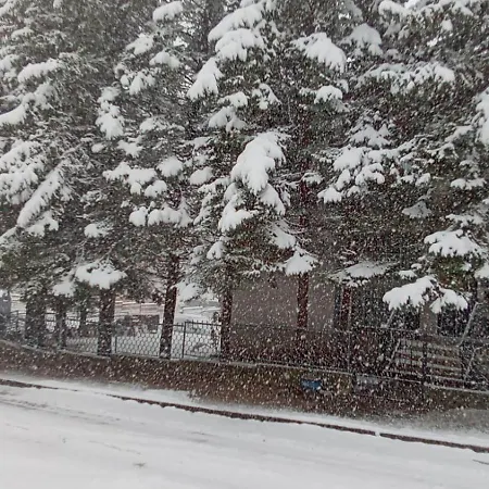 Bor S Velikom Terasom Idealan Za Boravak S Obitelji * Livno