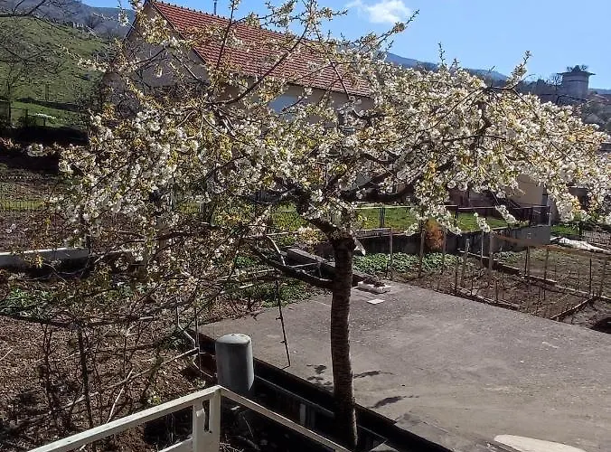 Bor شقة ليفنو